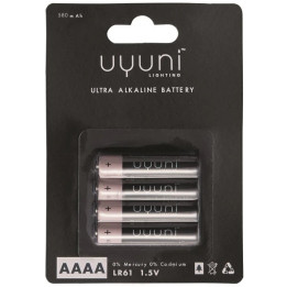 Uyuni AAAA batterier.